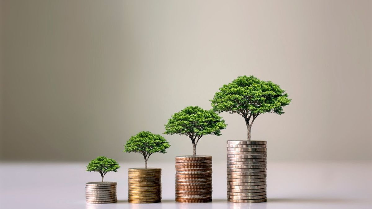 What Coffee Estates Actually Cost