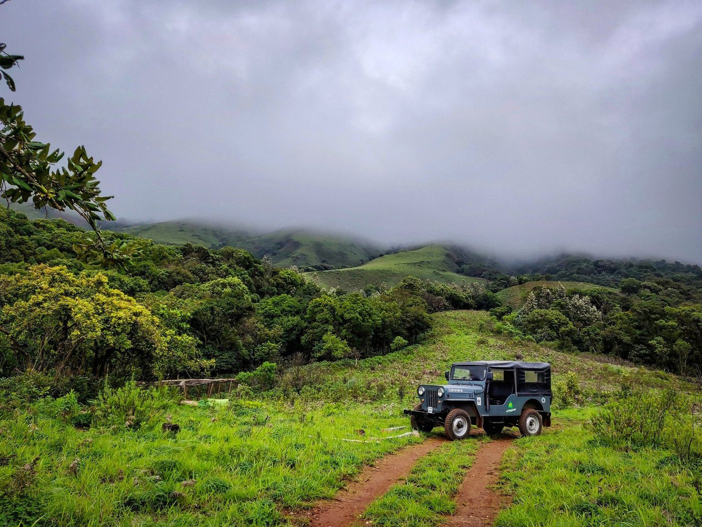 Coffee plantation for sale in Chikkamagaluru