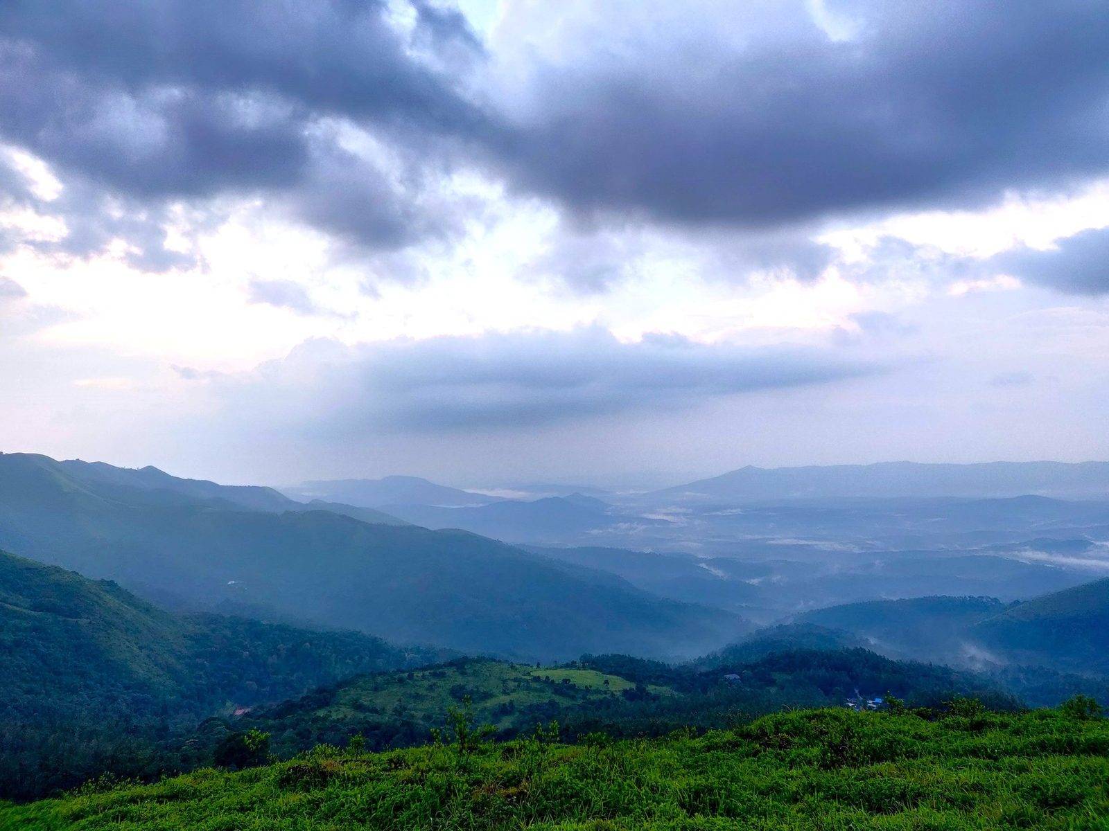 Estate owner selling land in Chikkamagaluru