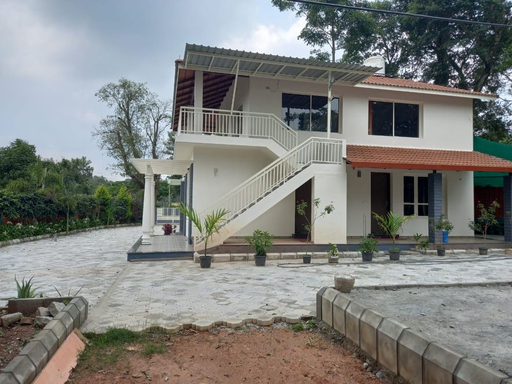 Coffee plants and shade trees, Chikkamagaluru estate