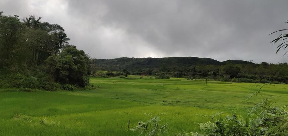 Estate property in Chikkamagaluru, Karnataka