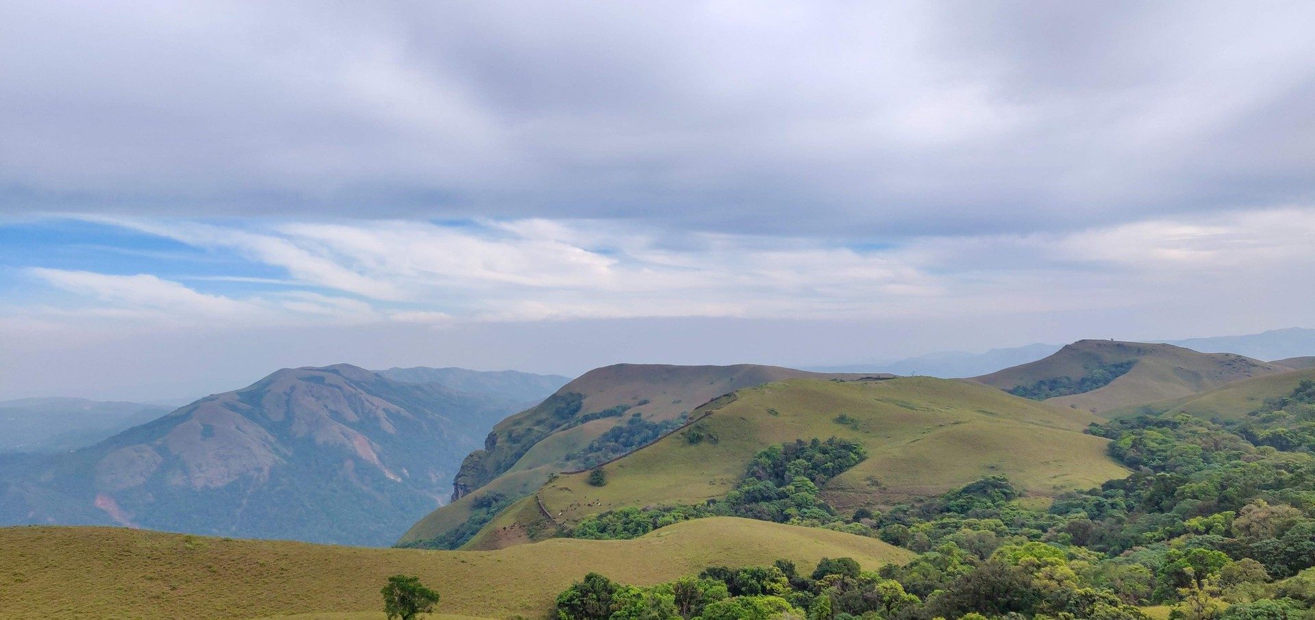 Coffee plantation in the hills of Chikkamagaluru, Karnataka